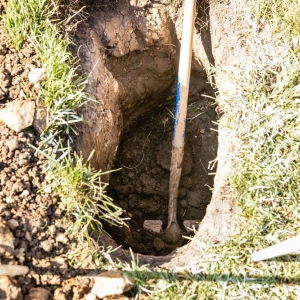 Photo of Martin Underground