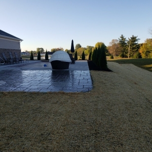 Photo of Picasso Lawn & Landscape
