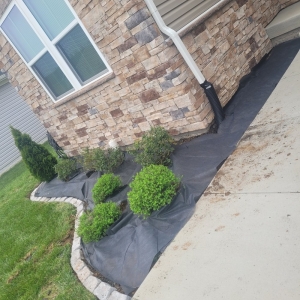 Photo of MJ Navarro Landscaping