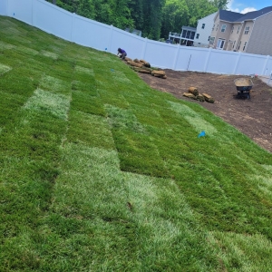 Photo of MJ Navarro Landscaping