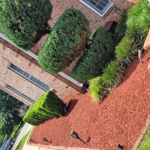 Photo of MJ Navarro Landscaping