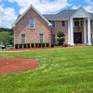 Photo of MJ Navarro Landscaping