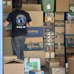 Photo of Blue Dog Moving