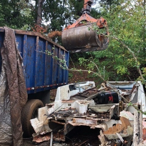 Photo of Tree & Junk Removal