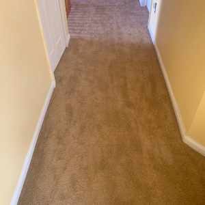 Photo of Carpet Exchange & Floors
