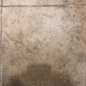 Photo of Alamo Carpet Cleaning & Restoration