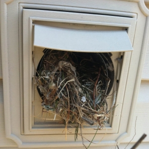 Photo of Dryer Duct Pros