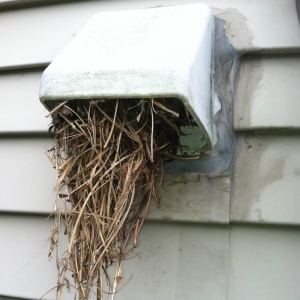 Photo of Dryer Duct Pros