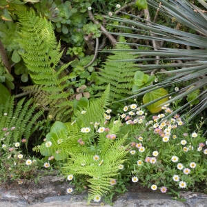 Photo of Green Earth Gardeners