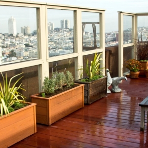 Photo of Green Earth Gardeners