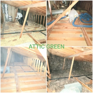 Photo of Attic Green