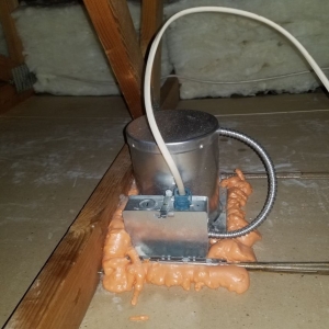 Photo of Attic Green