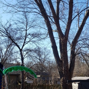 Photo of Our Backyard Lawn Service