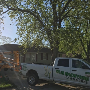 Photo of Our Backyard Lawn Service