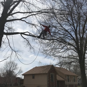 Photo of Our Backyard Lawn Service