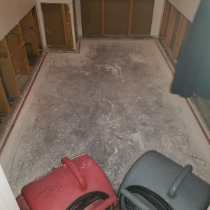 Photo of All Star Carpet Cleaning and Restoration