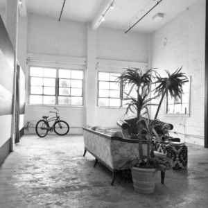 Photo of The L OZ Gallery