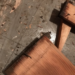 Photo of WATER DAMAGE RESTORATION NY