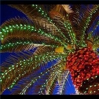 Photo of Lighting Las Vegas