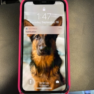 Photo of Rapid iPhone Repair