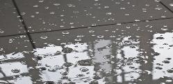 Photo of B & B's Non-Slip Surfaces