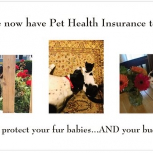 Photo of Corinth Insurance