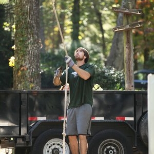 Photo of Tree Worx