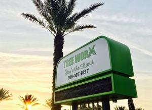Photo of Tree Worx