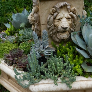 Photo of CreativeSpaces Landscape Design