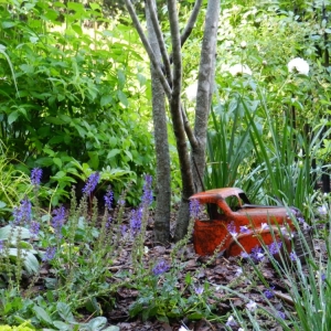 Photo of CreativeSpaces Landscape Design