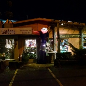 Little Rock Botanica Gardens