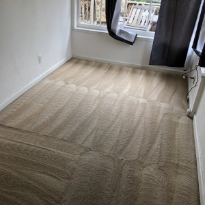 Photo of Manuel And Sons Carpet Cleaning