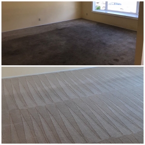 Photo of Manuel And Sons Carpet Cleaning