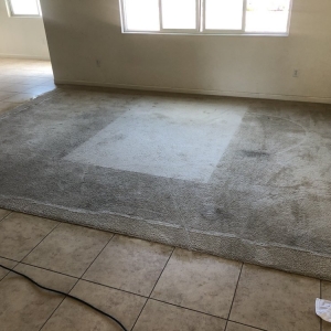 Photo of Manuel And Sons Carpet Cleaning