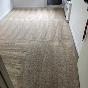 Photo of Manuel And Sons Carpet Cleaning