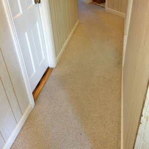 Photo of Luis' Chem-Dry