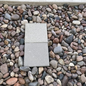 Photo of Think Roof