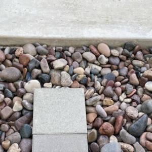 Photo of Think Roof