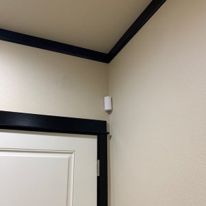 Photo of Security Professionals