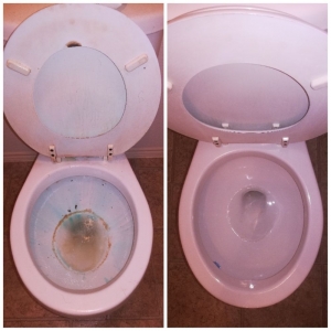 Photo of Wall to Walls Pro Cleaning Service