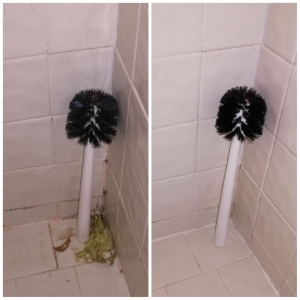 Photo of Wall to Walls Pro Cleaning Service