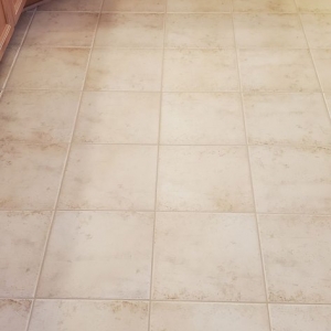 Photo of Exquisite Carpet Cleaning