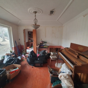 Photo of Lobo dumpster and more
