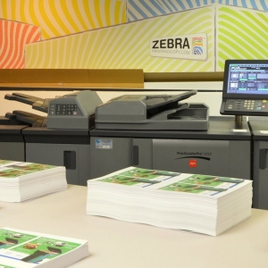 Photo of Zebra Print & Copy