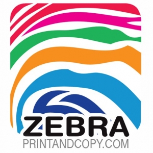 Photo of Zebra Print & Copy