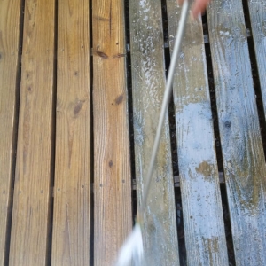 Photo of Chesapeake Property Services