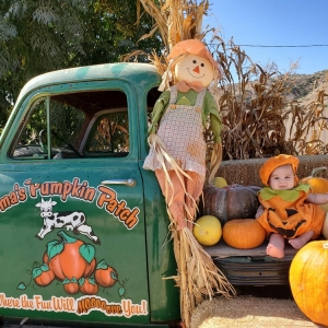Photo of Oma's Family Farm