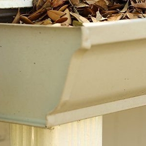 Photo of Up The Gutters