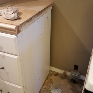 Photo of Cleanspace Cleaning Services