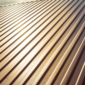 Photo of Low-Country Metal Roofing